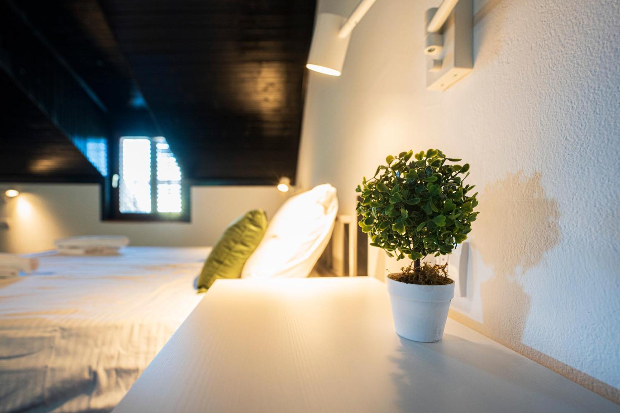 Cozy Nook B&B - Free Private Parking Nowy Sad Zewnętrze zdjęcie
